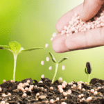 fertilizzanti per piante
