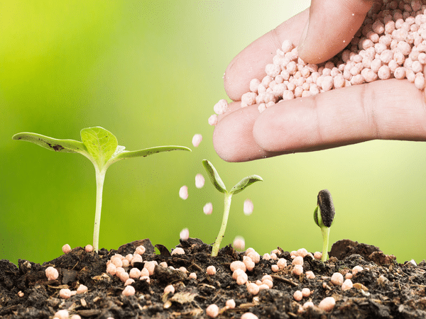 fertilizzanti per piante