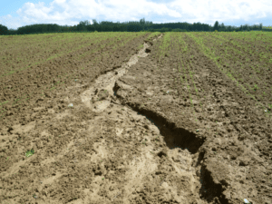 l'erosione del suolo