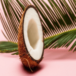 pianta di cocco
