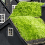 tetto verde