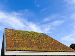 tetto verde estensivo